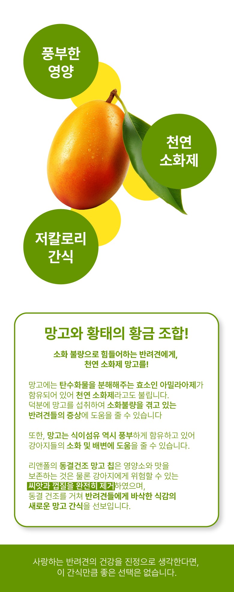 리앤폴 망고 황태 상세 페이지 9