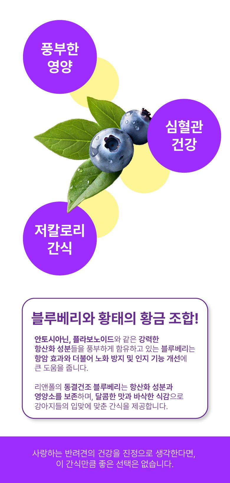 리앤폴 블루베리 황태 상세 페이지 9