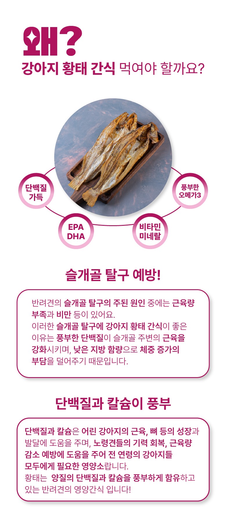 리앤폴 비트 황태 상세 페이지 3