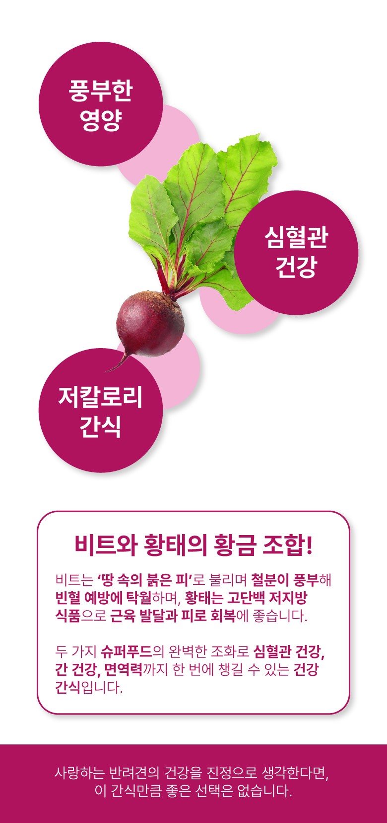 리앤폴 비트 황태 상세 페이지 9