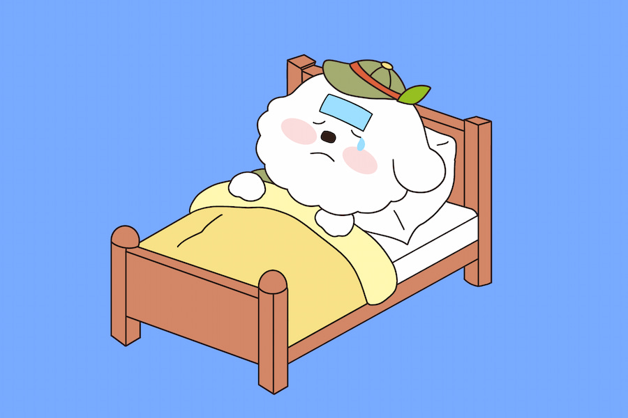 강아지 예방접종 안하면 어떻게 되나요? 강아지 예방접종 안하면 어떻게 되나요?