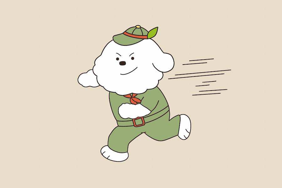 강아지 산책 시간 및 횟수
