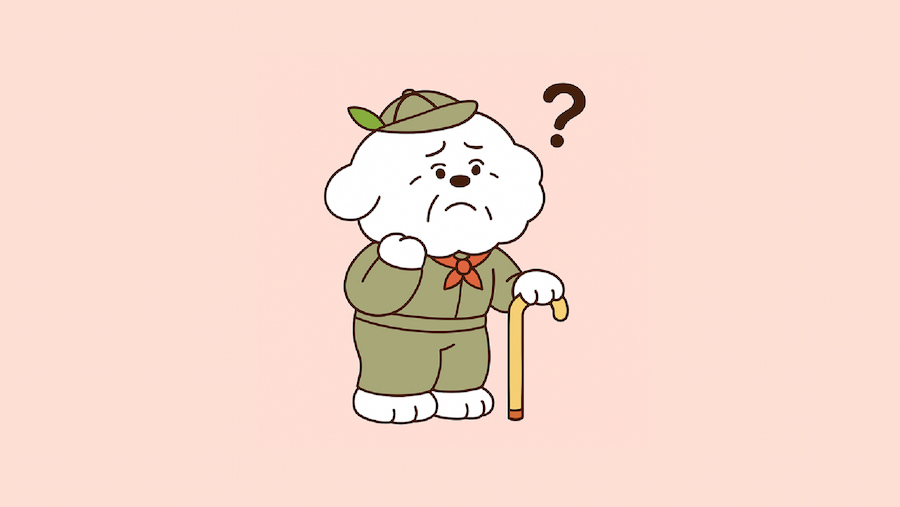 강아지 치매란? 강아지 치매란?