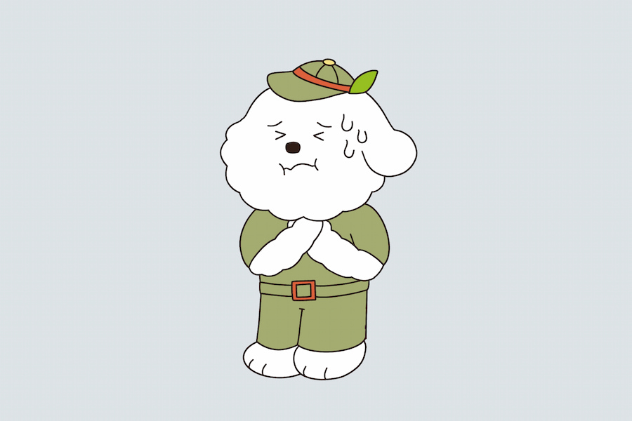 강아지 닭가슴살 급여 시 주의 사항 강아지 닭가슴살 급여 시 주의 사항