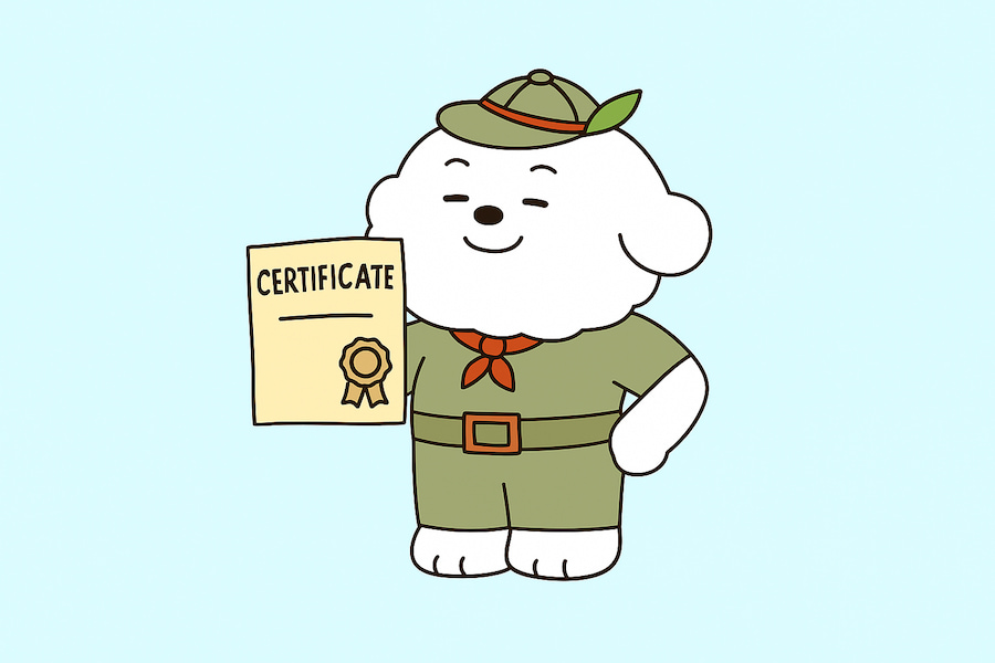 펫시터 자격증 펫시터 자격증