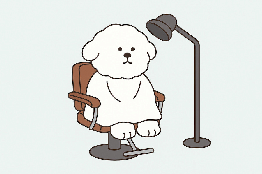 강아지 미용