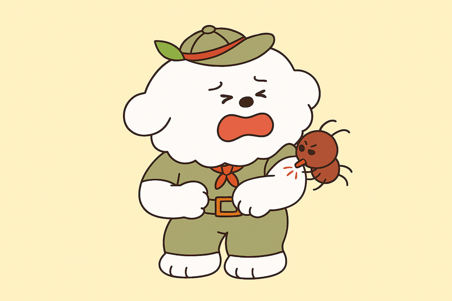 강아지 진드기란? 강아지 진드기란?
