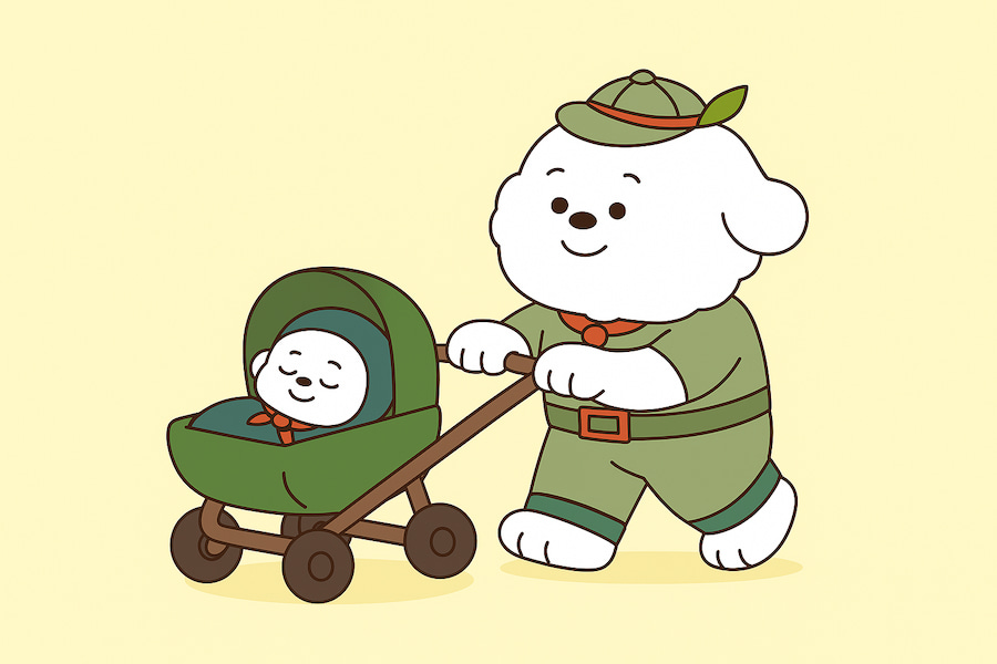펫시터란? 펫시터란?