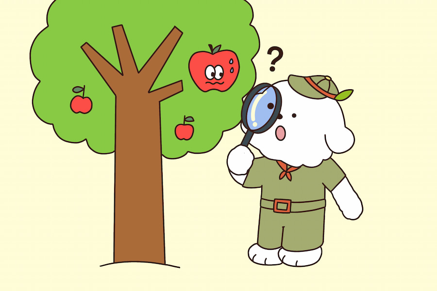 犬りんご