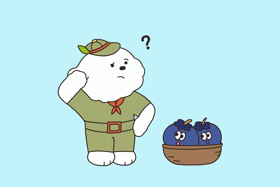 犬 ブルーベリー