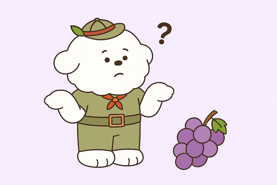 강아지 포도 먹어도 되나요