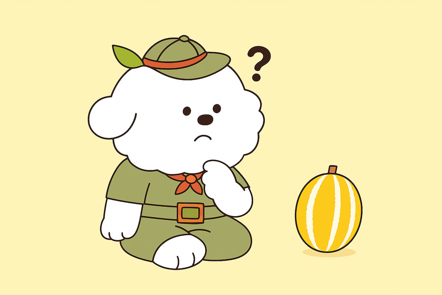 강아지 참외 먹어도 되나요?
