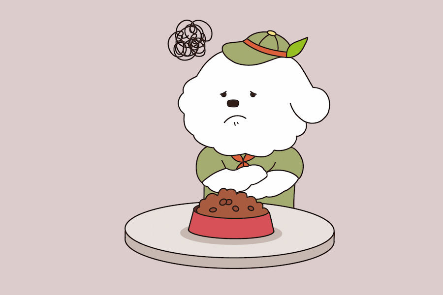 シニア犬 食べない