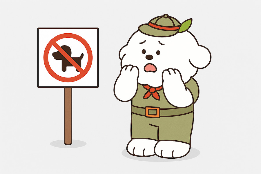 강아지 출입