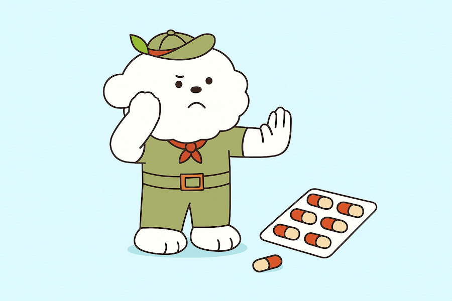 강아지 약 먹이는 방법 3가지