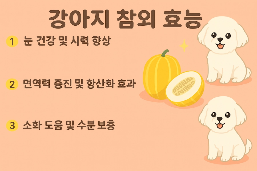 강아지 참외 효능은 무엇이 있나요? 강아지 참외 효능은 무엇이 있나요?