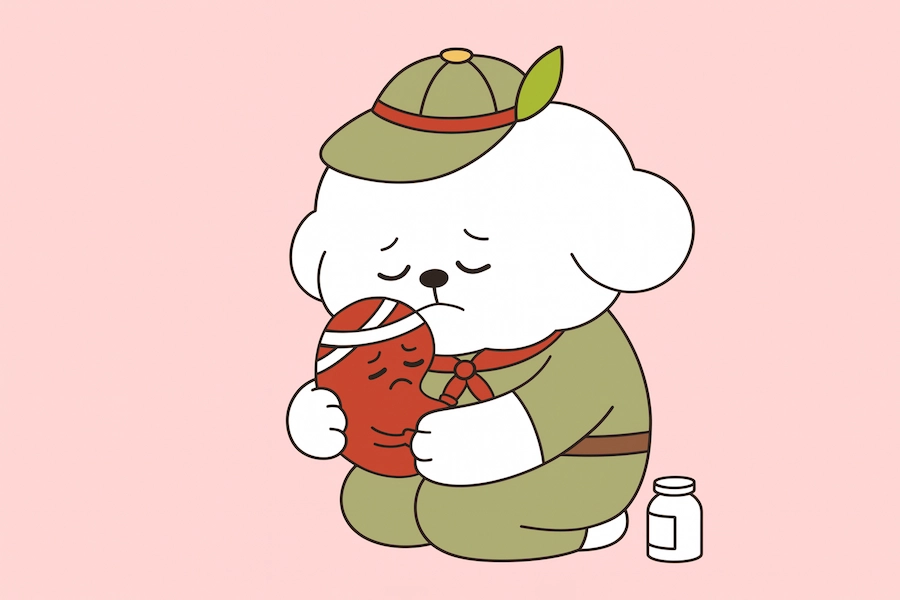 강아지 포도 먹으면 안되는 이유