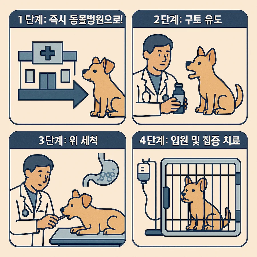 강아지가 포도를 먹었다면 어떻게 해야 할까요?