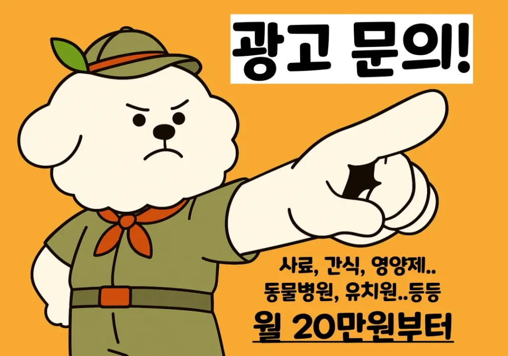 리앤폴 월 광고 문의